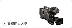 �Ɩ��p�J�����̃����^�� (�f���@�탌���^��)